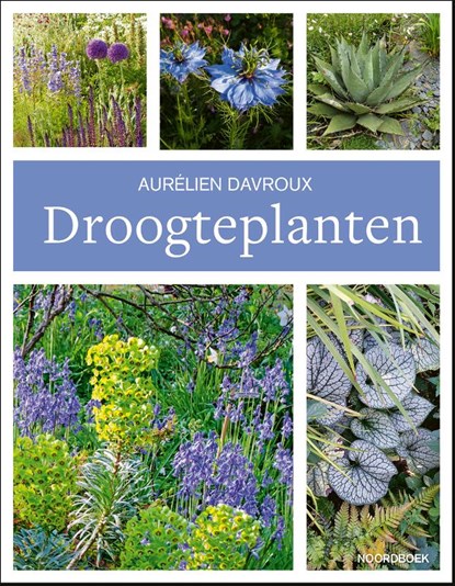 Droogteplanten, Aurélien Davroux - Paperback - 9789464710151