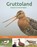 Gruttoland, Hans Peeters - Gebonden - 9789464710397