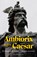Ambiorix tegen Caesar, Robert Nouwen - Paperback - 9789464710557