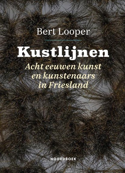 Kustlijnen, Bert Looper - Gebonden - 9789464710748