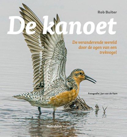 De kanoet, Rob Buiter - Paperback - 9789464710823