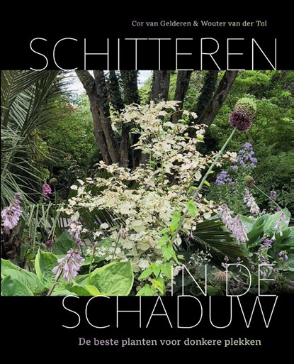 Schitteren in de schaduw, Cor van Gelderen ; Wouter van der Tol - Gebonden - 9789464711097