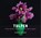Tulpen, Han Reeder - Gebonden - 9789464711806