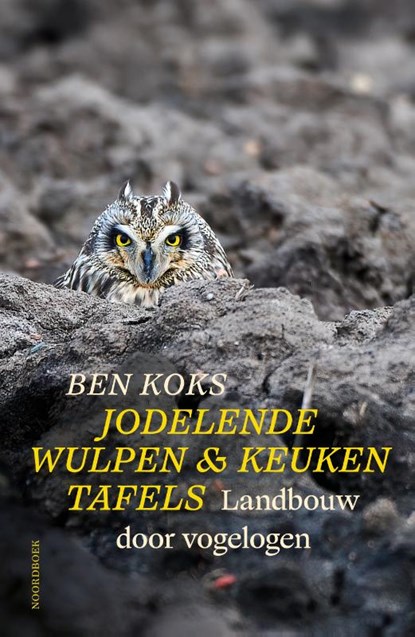 Jodelende wulpen & keukentafels, Ben Koks - Paperback - 9789464712551