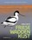 Vogels van de Friese Waddenkust, Meinte Engelmoer ; Henk Hiemstra ; Meino Zondervan ; Taeke Roosjen - Gebonden - 9789464713282