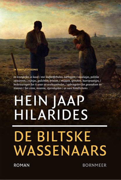 De Biltske Wassenaars, Hein Jaap Hilarides - Paperback - 9789464713961