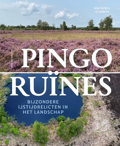 Pingoruïnes, Anja Verbers - Gebonden - 9789464714029