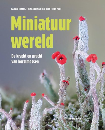 Miniatuurwereld, Harold Timans ; Henk-Jan van der Kolk - Gebonden - 9789464714128