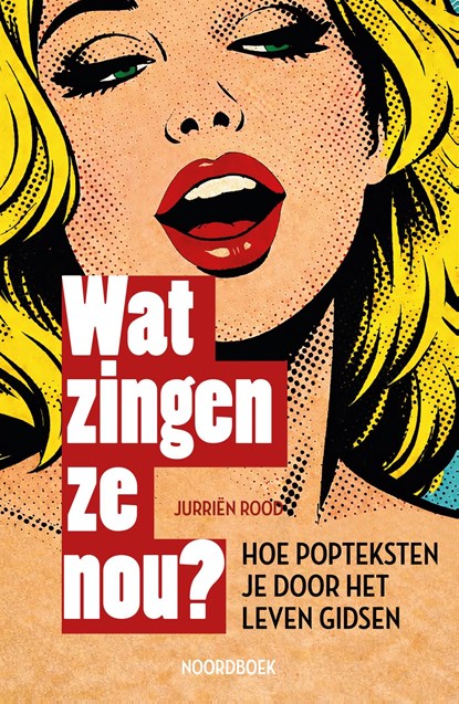 Wat zingen ze nou?, Jurriën Rood - Ebook - 9789464715309