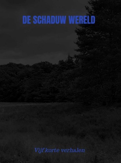 De schaduw wereld, Hein Dekker - Paperback - 9789464804263