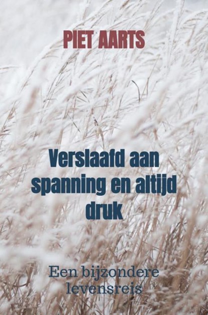 Verslaafd aan spanning en altijd druk, Piet Aarts - Paperback - 9789464804461