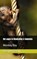 Het aapje in Manhattan & Colombia, Alexander Kastelijn - Paperback - 9789464805109