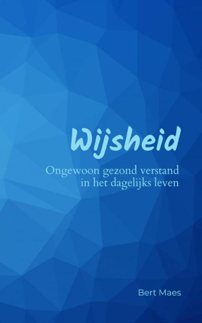 Wijsheid, Bert Maes - Paperback - 9789464808131