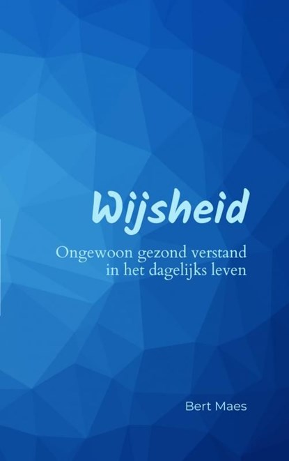 Wijsheid, Bert Maes - Ebook - 9789464808155
