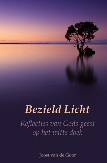 Bezield Licht, Joost van de Goor - Gebonden - 9789464808902
