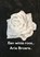 Een witte roos.., Arie Broere - Paperback - 9789464809213