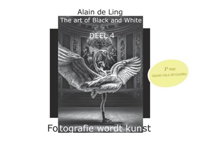 The Art of Black and White 4, Alain De Ling - Gebonden - 9789464810264