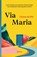 Via Maria, Christ de Wit - Paperback - 9789464819731