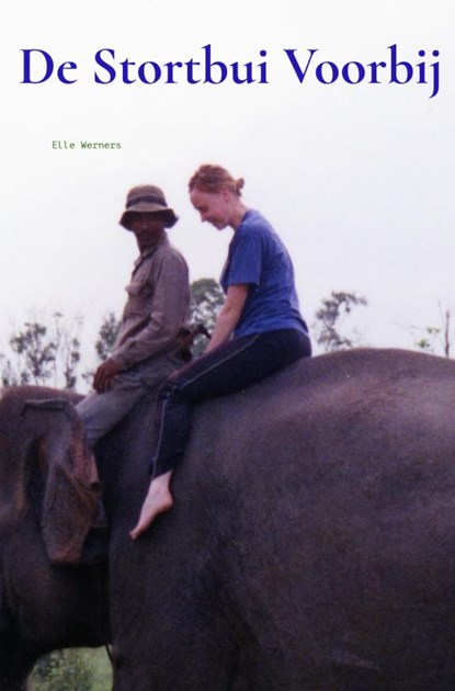 DE STORTBUI VOORBIJ, Elle Werners - Paperback - 9789464855425