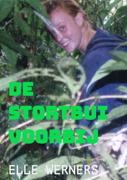 DE STORTBUI VOORBIJ, Elle Werners - Paperback - 9789464856163