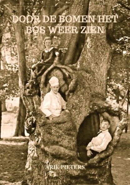 Door de bomen het bos weer zien, Arie Pieters - Paperback - 9789464857207