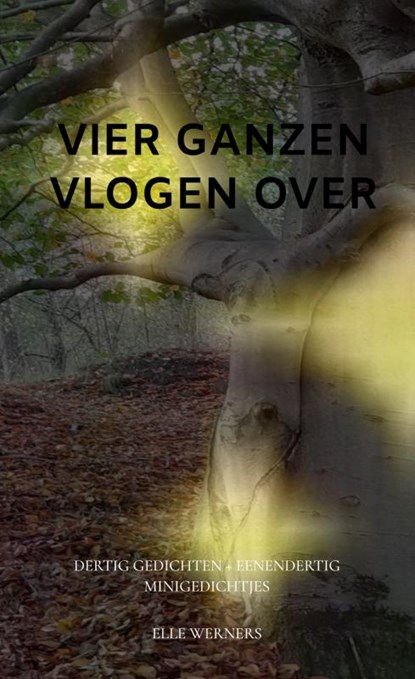 VIER GANZEN VLOGEN OVER, Elle Werners - Paperback - 9789464857580