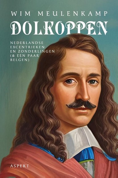 Dolkoppen, Wim Meulenkamp - Paperback - 9789464873306