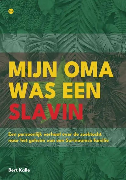 Mijn oma was een slavin, Bert Kalle - Paperback - 9789464891720