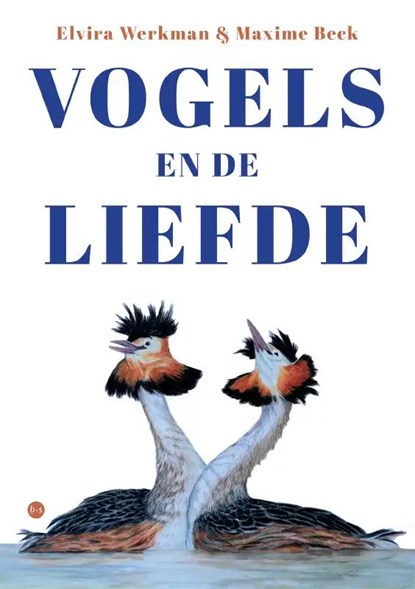 Vogels en de liefde, Elvira Werkman - Paperback - 9789464893809