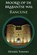 Rancune, Desiree Tonino - Paperback - 9789464910896