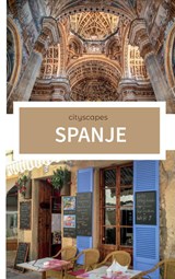 Cityscapes Spanje - Lesley Nieuwenhuis - 9789464925449