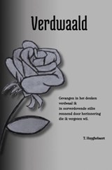Verdwaald - T Huyghebaert - 9789464925456