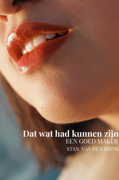 Wat had kunnen zijn, Stan van den Brink - Gebonden - 9789464929683