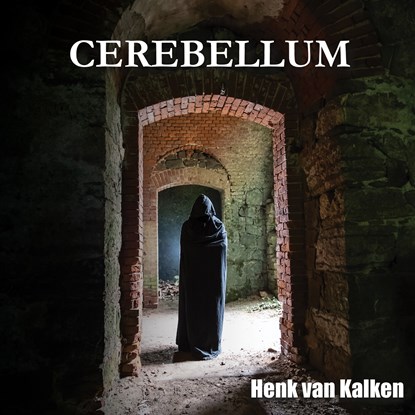 Cerebellum, Henk van Kalken - Luisterboek MP3 - 9789464933499