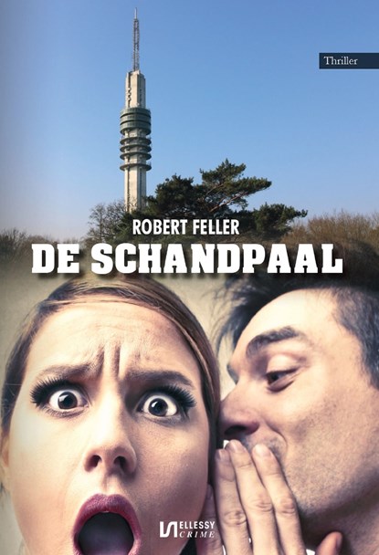 De schandpaal, Robert Feller - Ebook - 9789464933604