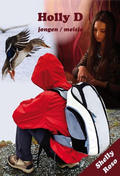 Holly D., Shelly Roso - Ebook - 9789464934113