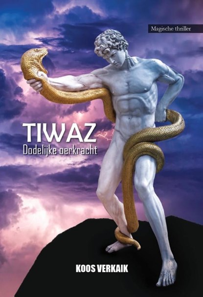 TIWAZ, Koos Verkaik - Paperback - 9789464935844