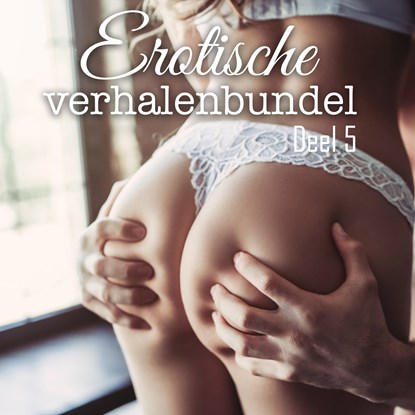 Erotische verhalenbundel, Diverse Auteurs - Luisterboek MP3 - 9789464938883