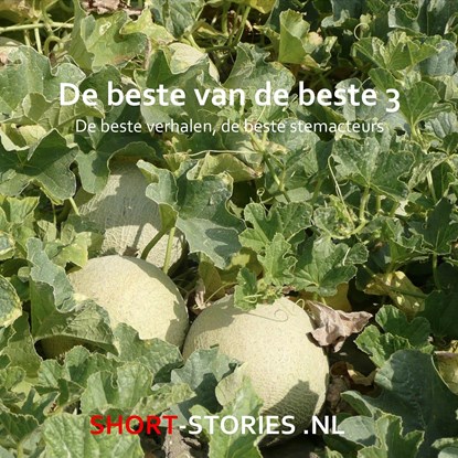 De beste van de beste 3, Guy de Maupassant ; An Rutgers van der Loeff ; Anton Quintana ; Cecil Scott Forrester ; Maarten Biesheuvel ; H.P. de Boer ; Elsa Morante ; All Mattern ; Michael Herr ; T.E. Lawrence ; Lafcadio Hearn ; Marga Minco ; Simone van Wattum - Luisterboek MP3 - 9789464939323