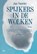 Spijkers in de wolken, Jan Vanriet - Paperback - 9789464946796