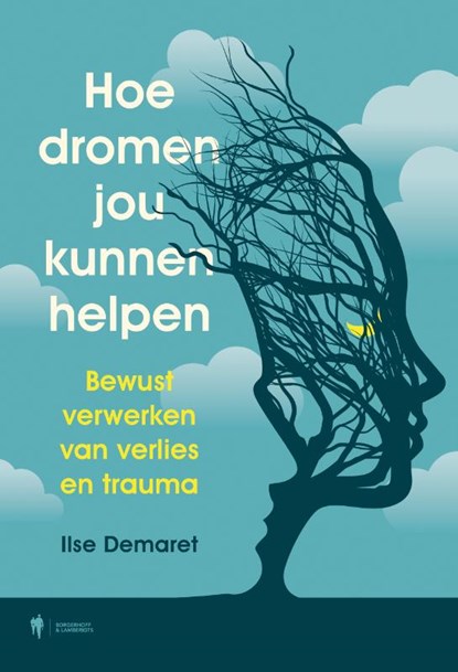 Hoe dromen jou kunnen helpen, Ilse Demaret - Paperback - 9789464983388