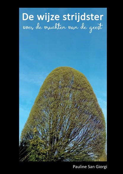De wijze strijdster, Pauline San Giorgi - Paperback - 9789465013138