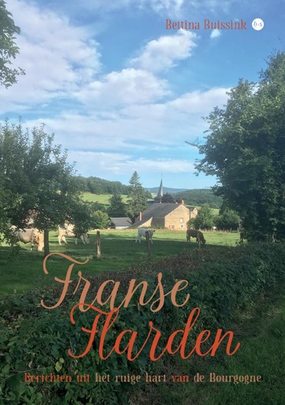 Franse Flarden, Bettina Buissink - Paperback - 9789465090283