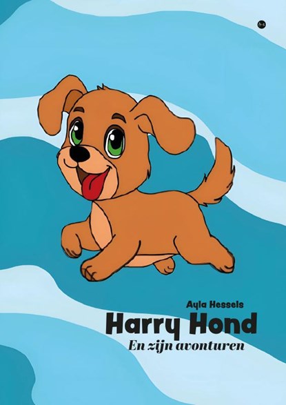 Harry Hond, Ayla Hessels - Paperback - 9789465091006