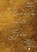 Parels van God, Maja Timmer - Paperback - 9789465095318