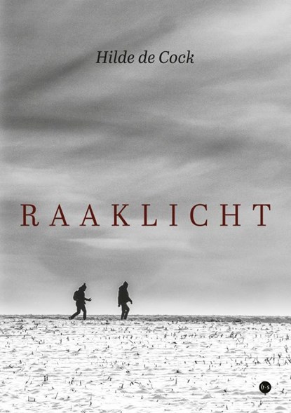 Raaklicht, Hilde de Cock - Paperback - 9789465097831