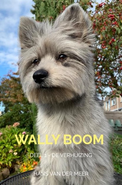 Wally Boom, Hans van der Meer - Ebook - 9789465120942