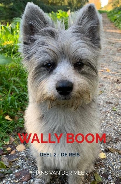 Wally Boom, Hans Van der Meer - Ebook - 9789465120997