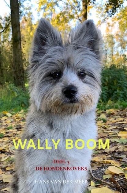 Wally Boom, Hans Van der Meer - Ebook - 9789465121017