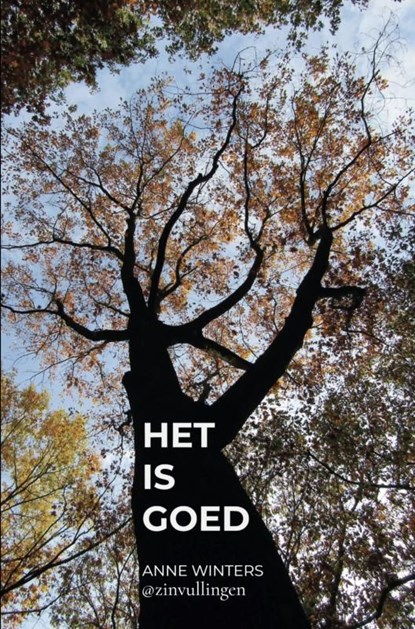 Het is goed, Anne Winters - Ebook - 9789465124889